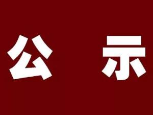 湖州市正策融資擔(dān)保有限公司 干部任前公示通告